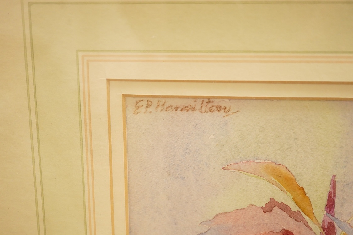 E.P. Hamilton (19th/20th century), Floral still life, signed upper left, watercolour, 47 x 29cm